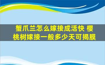 蟹爪兰怎么嫁接成活快 樱桃树嫁接一般多少天可揭膜